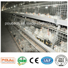 Bestes Preis-hochwertiges Broiler-Huhn-Käfig-System